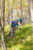 hanging_on_reduced