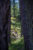 hanging_on_reduced